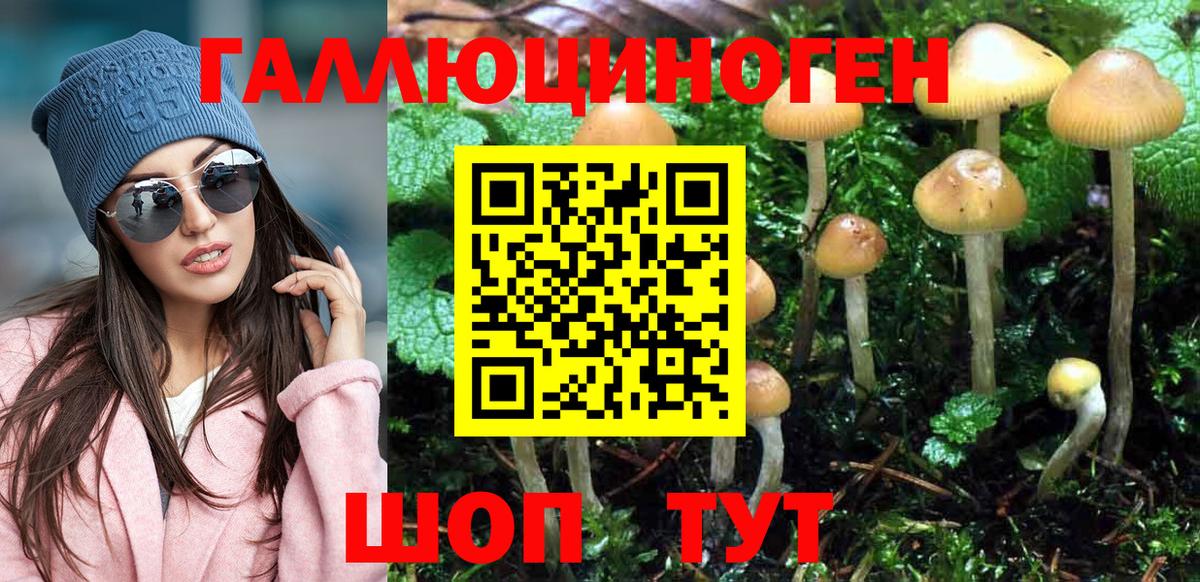 Галлюциногенные грибы MAGIC MUSHROOMS  Галлюциногенные грибы MAGIC MUSHROOMS  Вход с VPN  Ачинск 